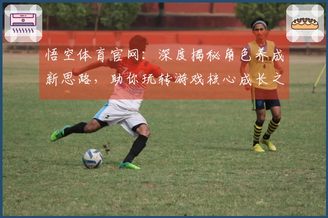悟空体育官网:深度揭秘角色养成新思路,助你玩转游戏核心成长之路